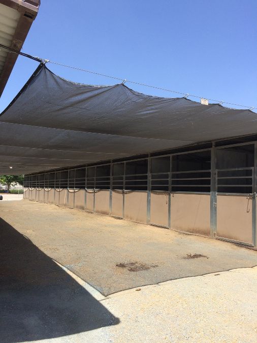 Prize List California Springfest Horse Show prize-list-california-springfest-horse-show